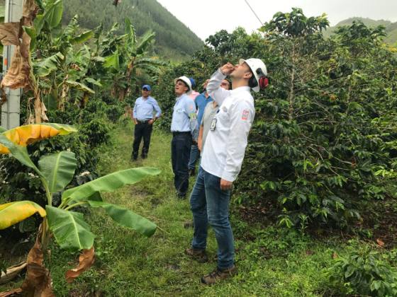 Cinco S.A.S. — Interventoría en campo