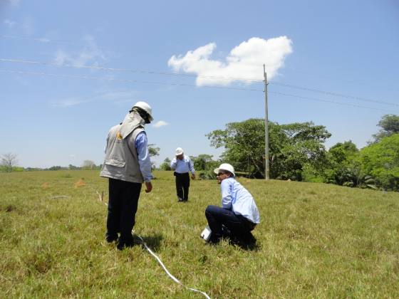 Cinco S.A.S. — Medición y energía solar en campo