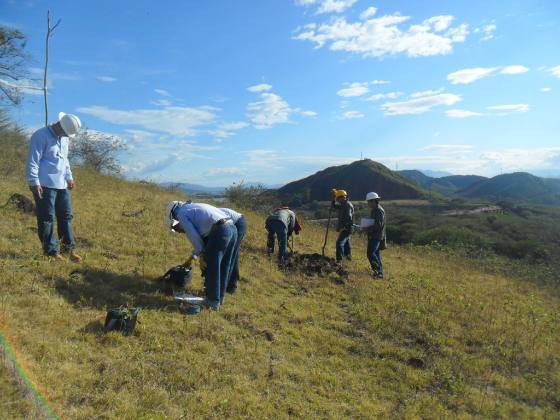 Cinco S.A.S. — Medición y energía solar en campo